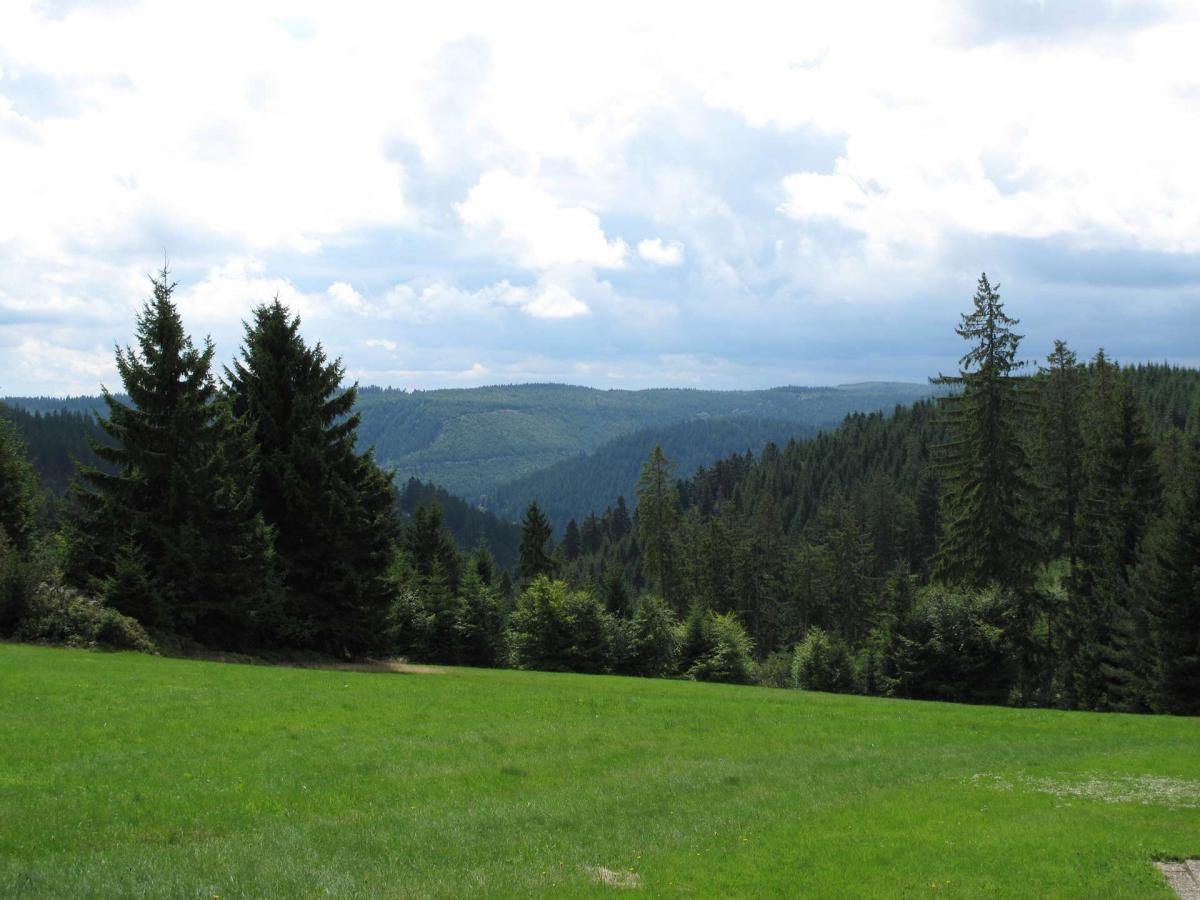 Impression Nationalpark
